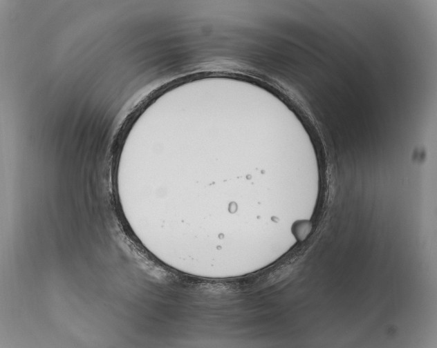 X0000110890931200907161522