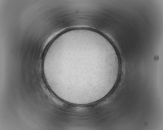 X0000110890933200907161522