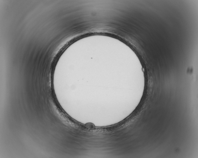 X0000110890934200907161522