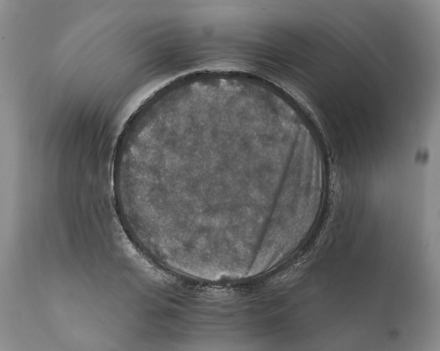 X0000110890935200907161522