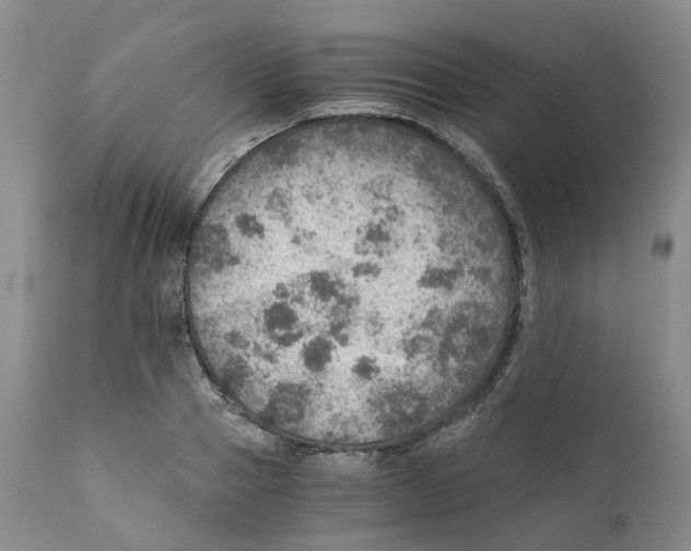 X0000110890937200907161522