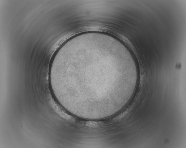 X0000110890938200907161522