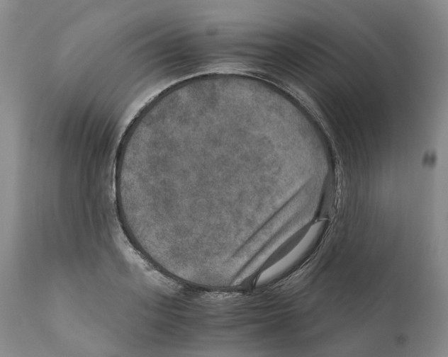 X0000110890939200907161522