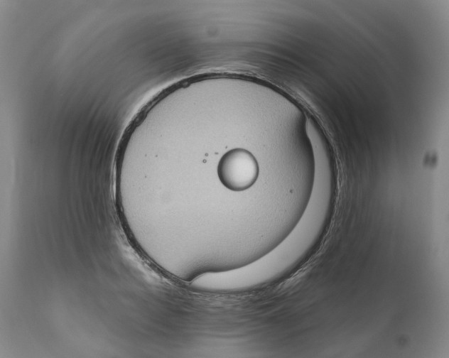 X0000110890940200907161522