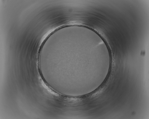 X0000110890941200907161522