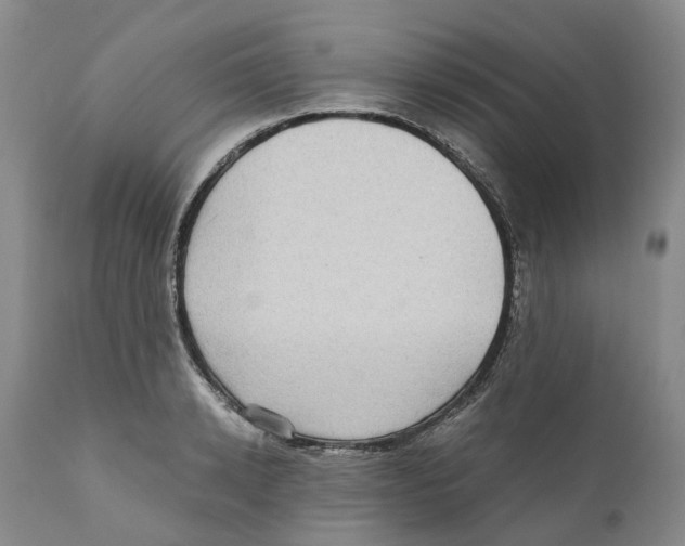 X0000110890942200907161522