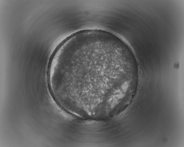 X0000110890943200907161522