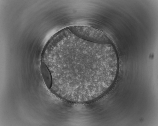 X0000110890944200907161522