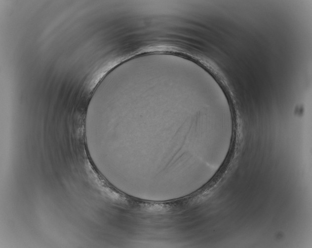 X0000110890945200907161523