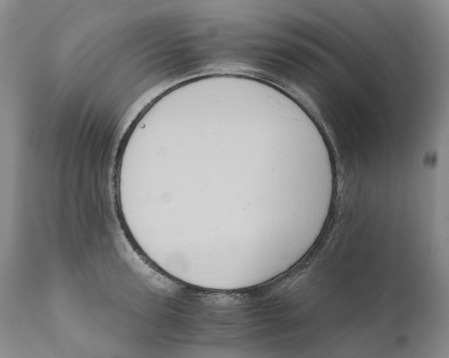 X0000110890947200907161523