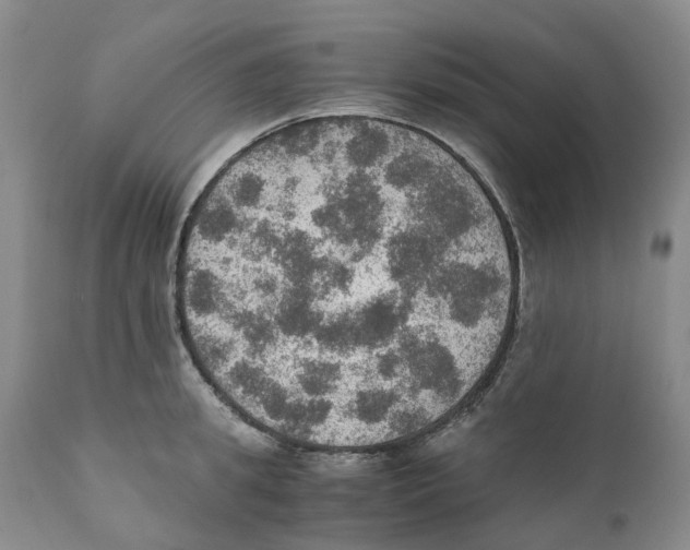 X0000110890949200907161523