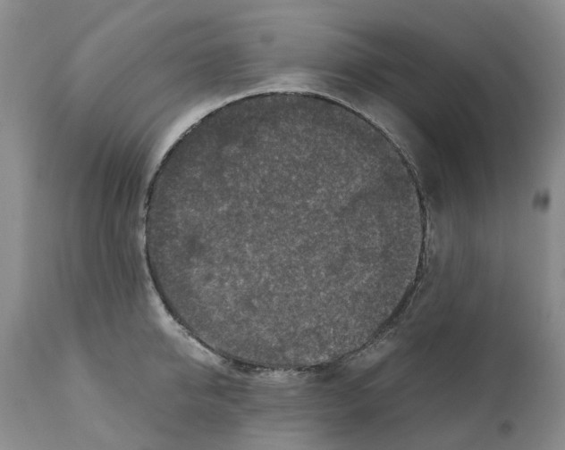 X0000110890950200907161523