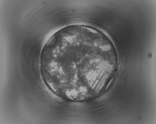 X0000110890951200907161523