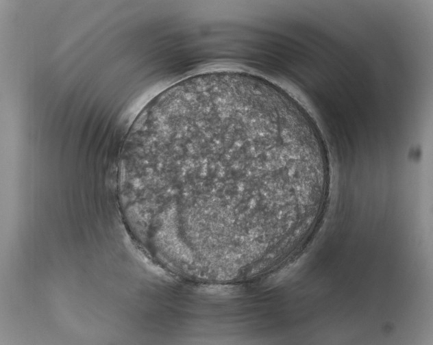 X0000110890953200907161523