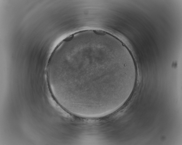 X0000110890958200907161523