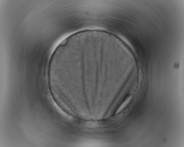 X0000110890959200907161523