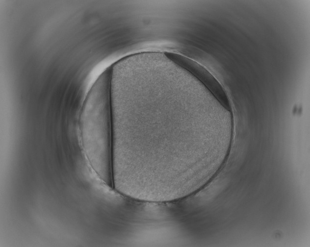 X0000110890960200907161523