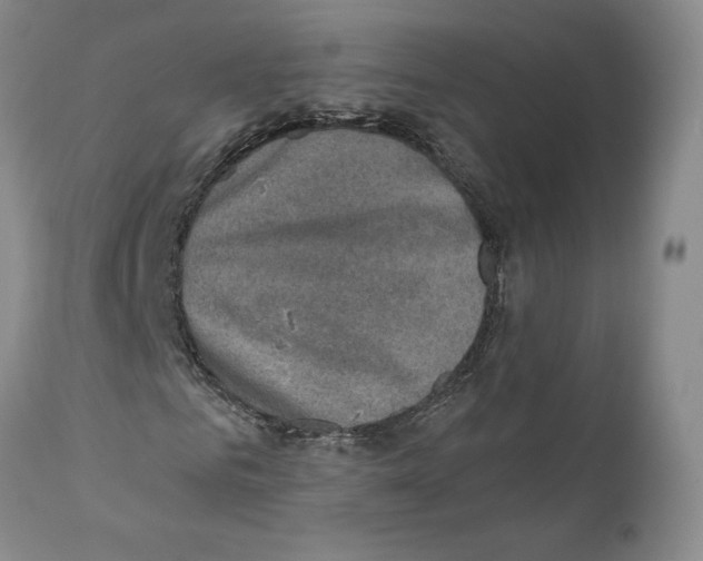 X0000110890961200907161522