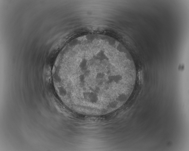 X0000110890963200907161522