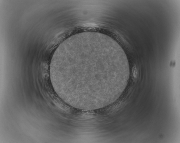 X0000110890964200907161522