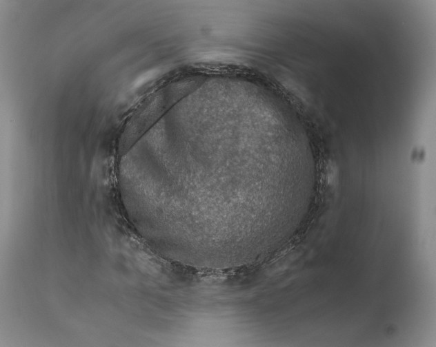 X0000110890965200907161522