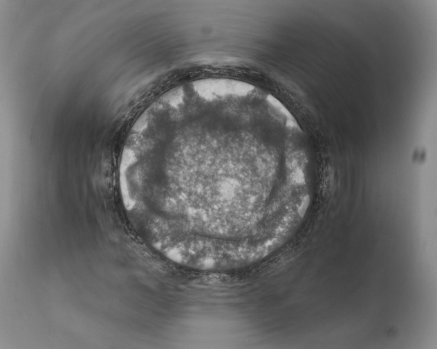 X0000110890966200907161522