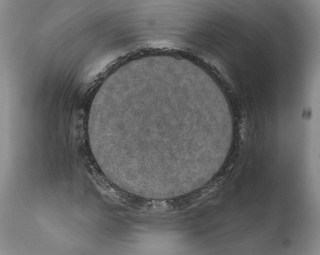 X0000110890968200907161522