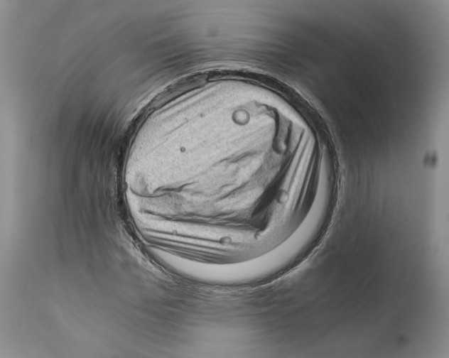 X0000110890969200907161522