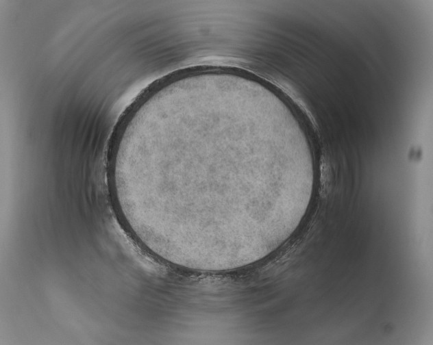 X0000110890972200907161522