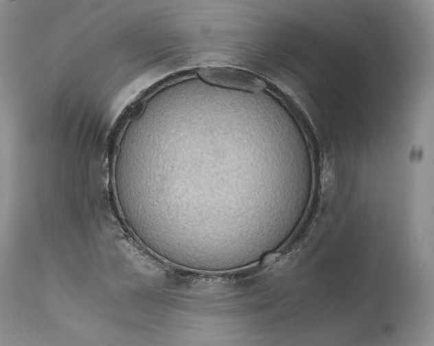 X0000110890973200907161522