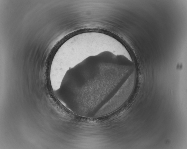 X0000110890975200907161522