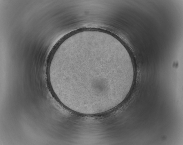 X0000110890976200907161522