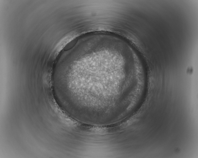 X0000110890977200907161522