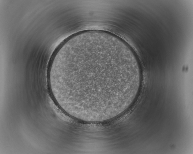 X0000110890980200907161522