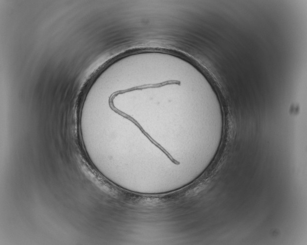 X0000110890982200907161522