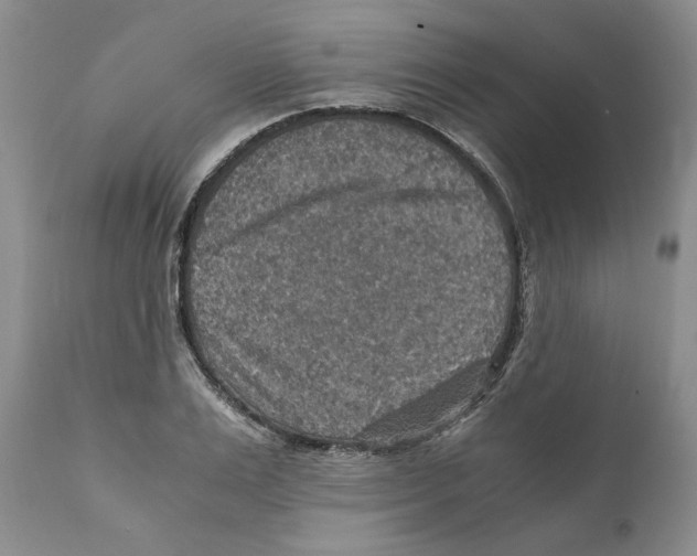 X0000110890983200907161522