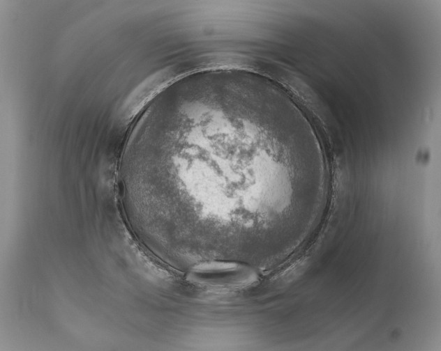 X0000110890985200907161522