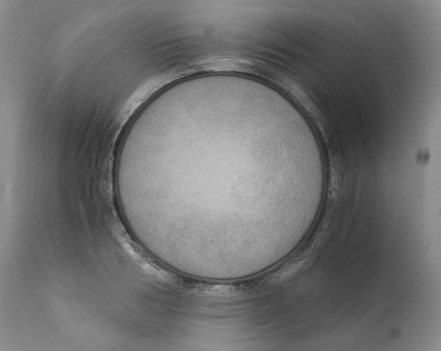 X0000110890986200907161522