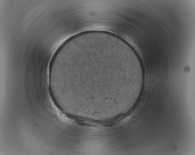 X0000110890988200907161522