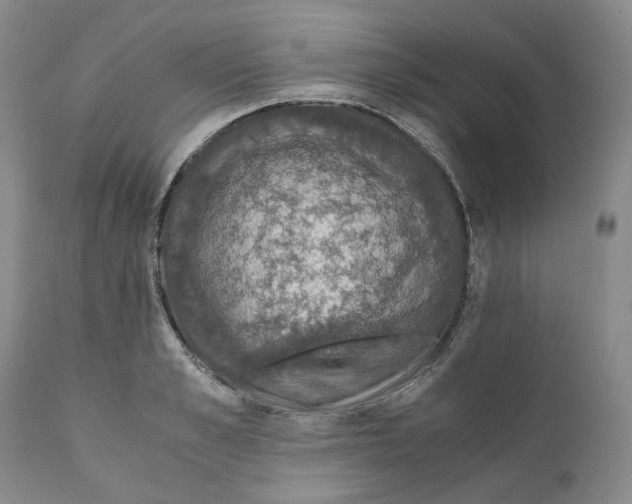 X0000110890989200907161521