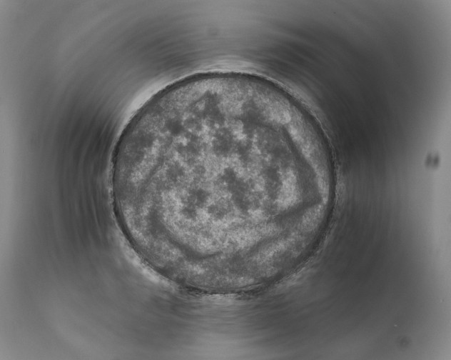 X0000110890990200907161521