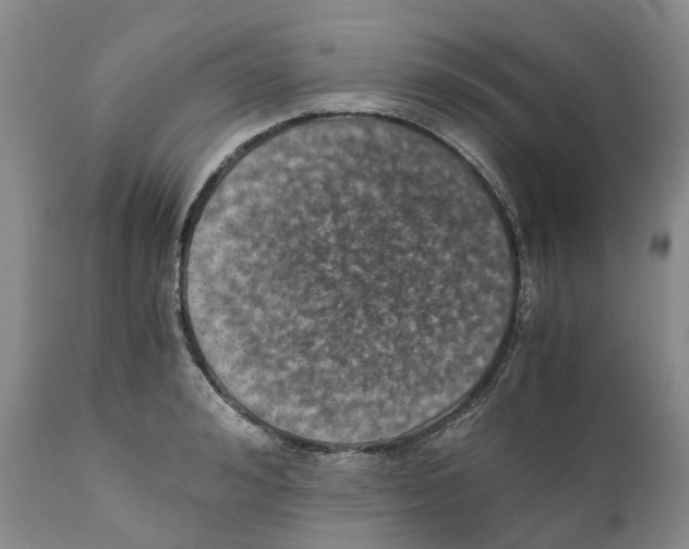 X0000110890992200907161521