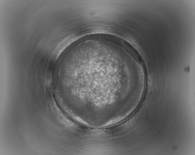 X0000110890993200907161521