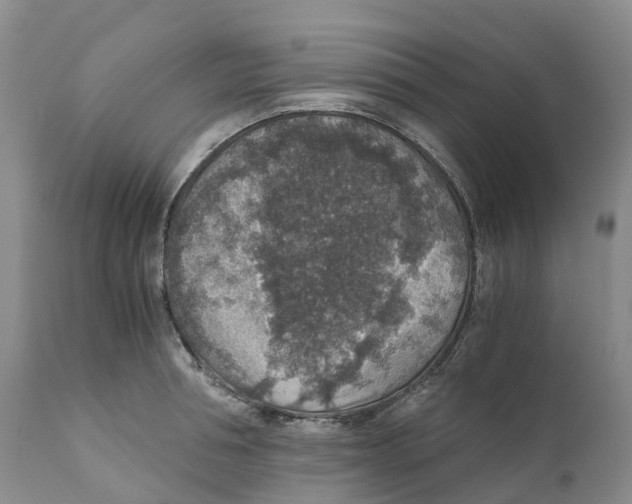 X0000110890994200907161521