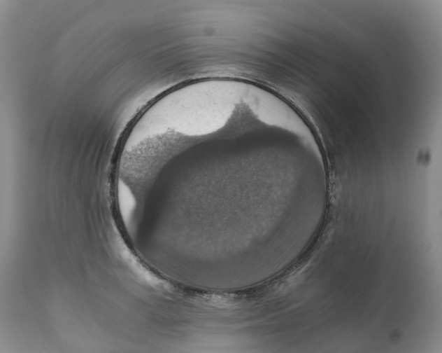 X0000110890995200907161521