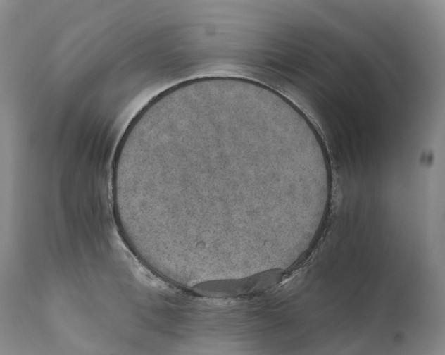 X0000110890996200907161521