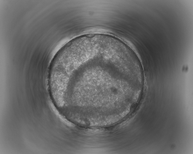 X0000110890997200907161521