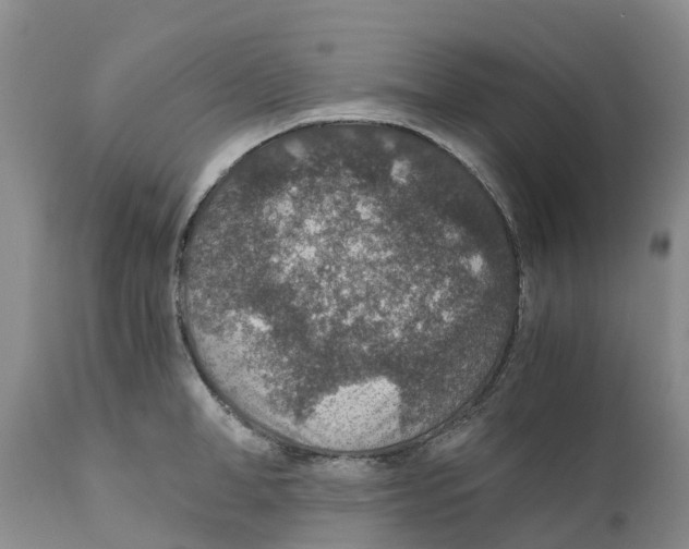 X0000110890998200907161521