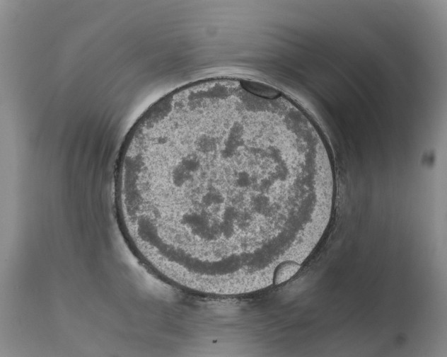 X0000110890999200907161521