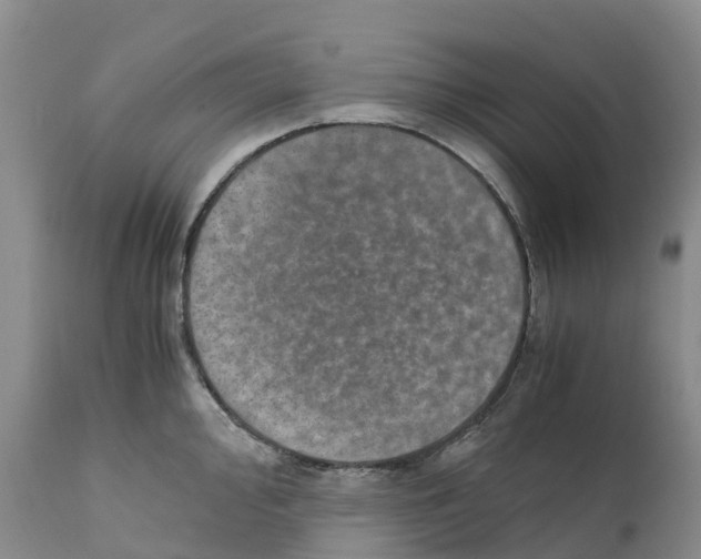 X0000110891000200907161521